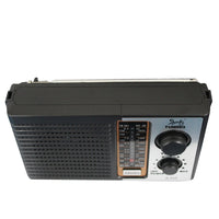 Radio Portatil 5 Bandas Alta Potencia De Sonido