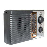 Radio Portatil 5 Bandas Alta Potencia De Sonido