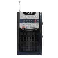 Mini Radio Global AMFM Alta Fidelidad