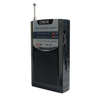 Mini Radio Global AMFM Alta Fidelidad
