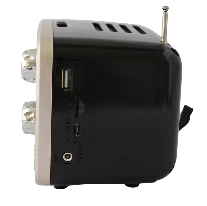 Radio Portatil 8 Bandas Analogo Con Axiliar Y USB