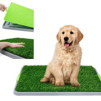 Tapete Entrenador Sanitario Para Perros Facil De Limpiar