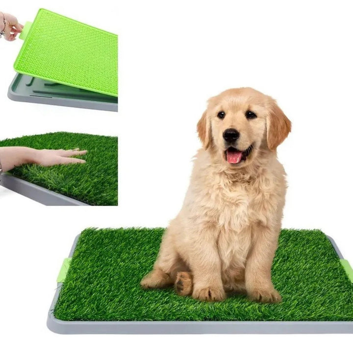 Tapete Entrenador Sanitario Para Perros Facil De Limpiar